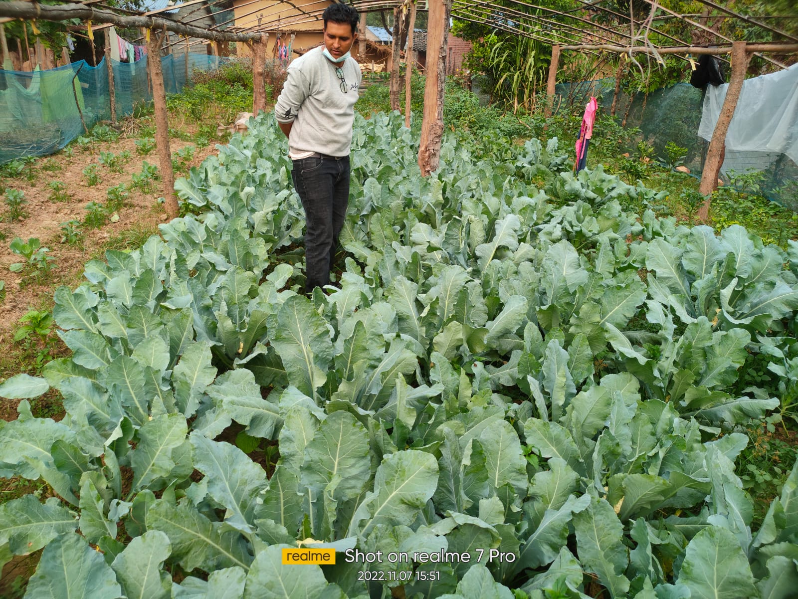agriculture